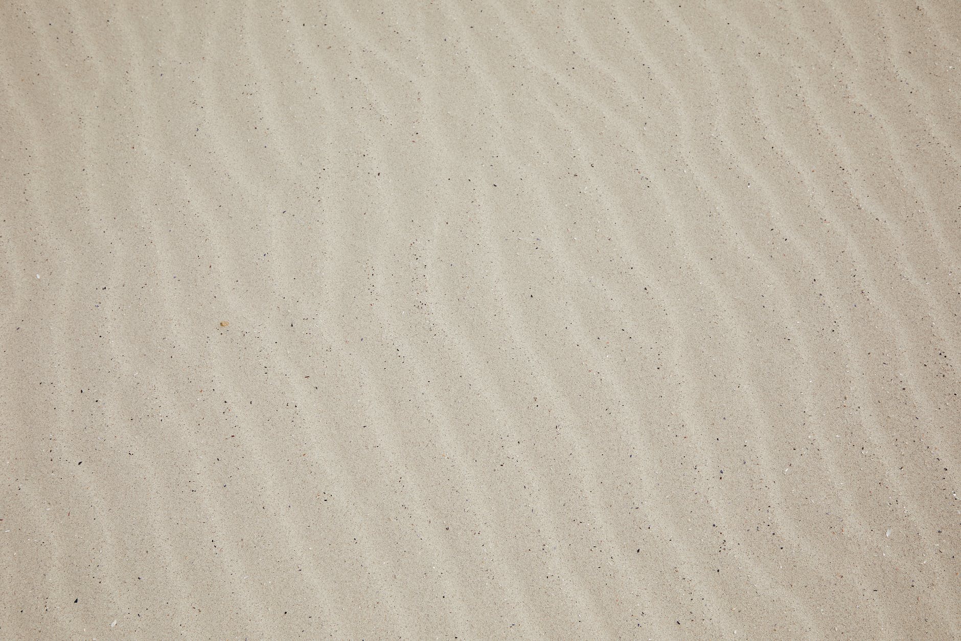 sandy surface of beach in daytime